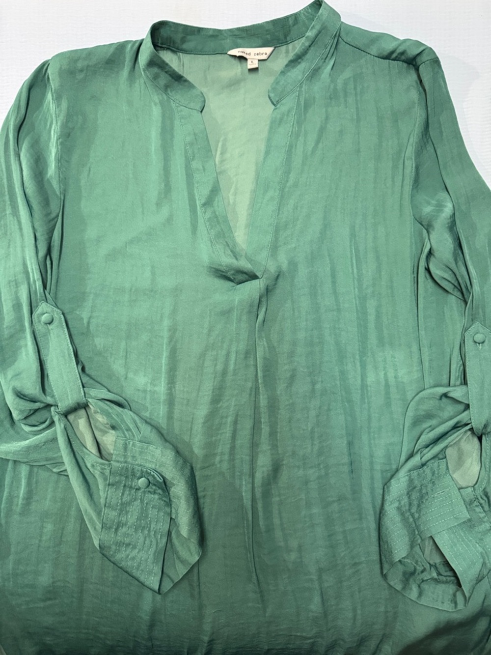 Naked Zebra Teal-Green V-Neck Blouse